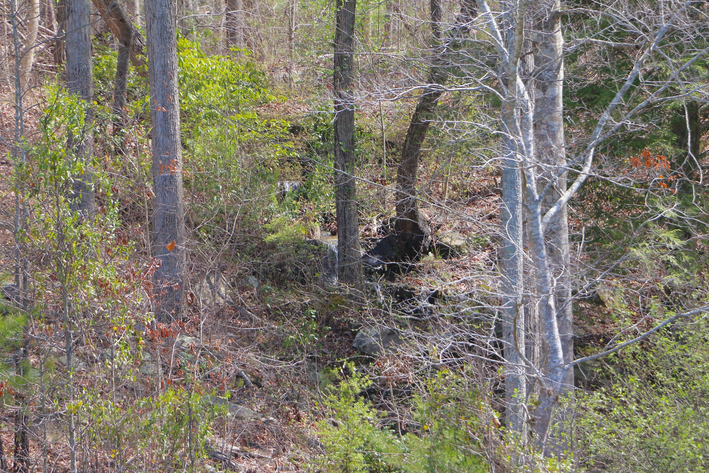 Image 3: IMG_6162