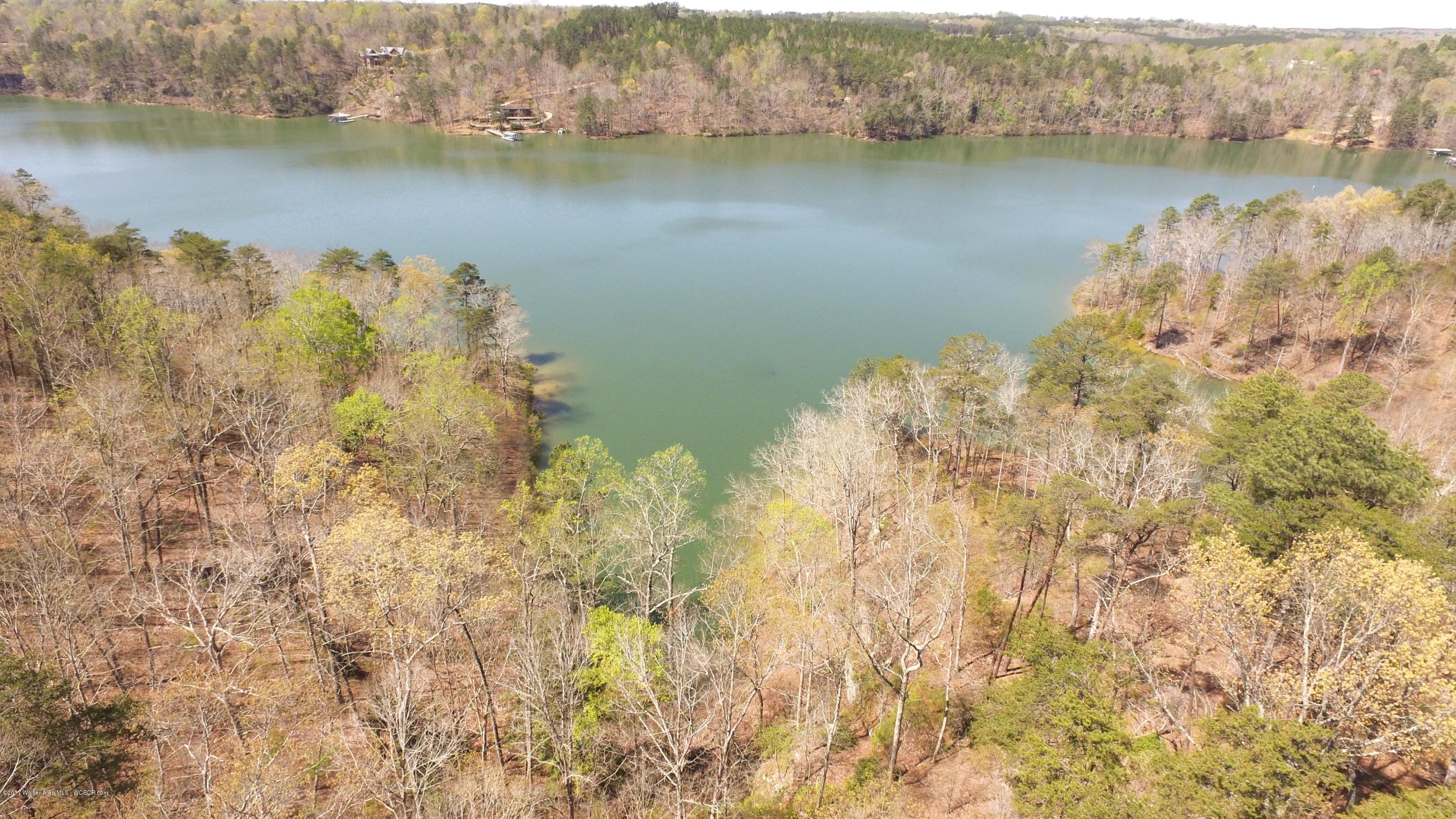 Image 3: DJI_0050