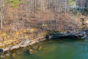 LOT 10 STONEBROOK COVE Dr