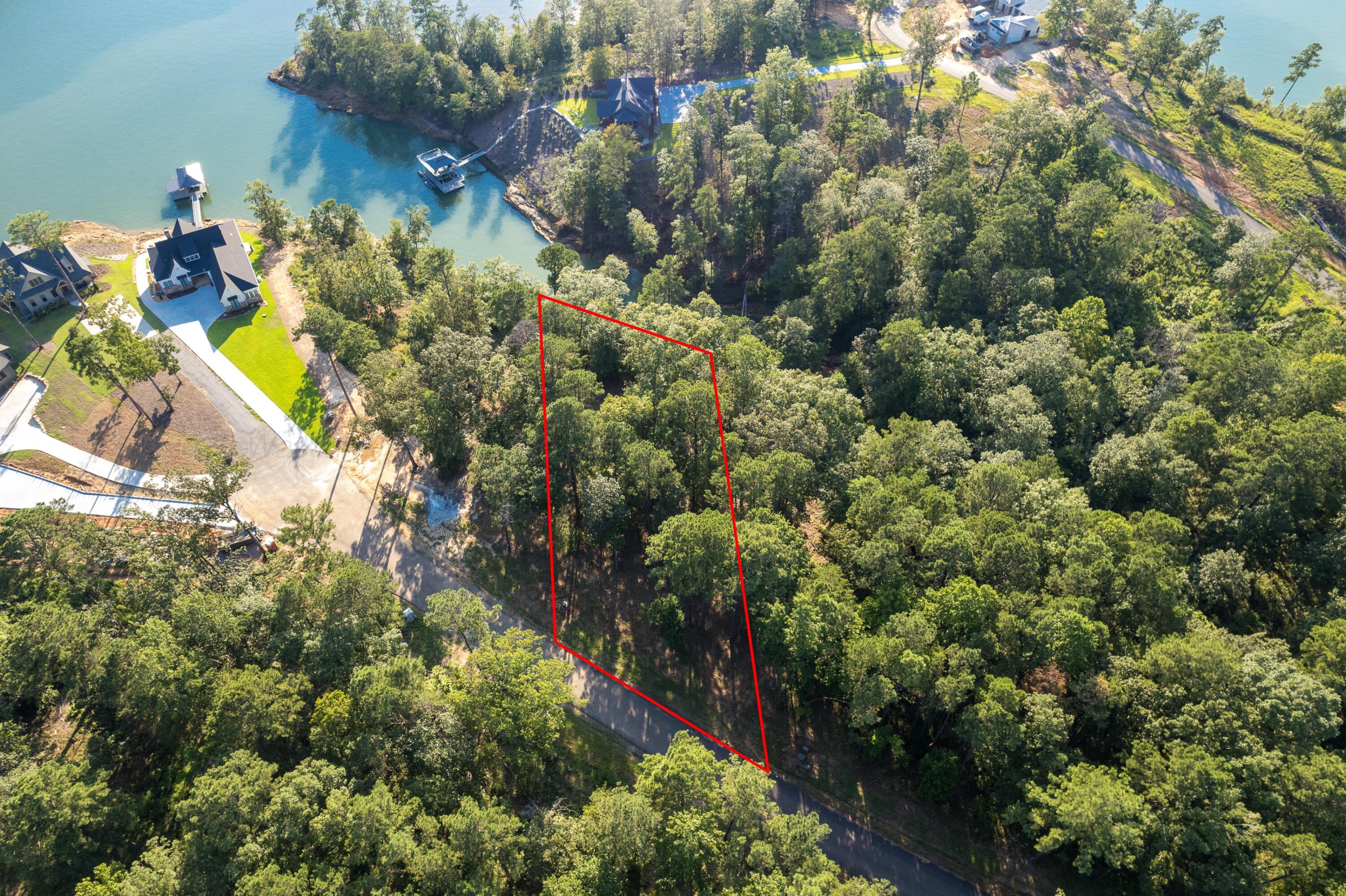 Image 3: Aerial Lot Lines