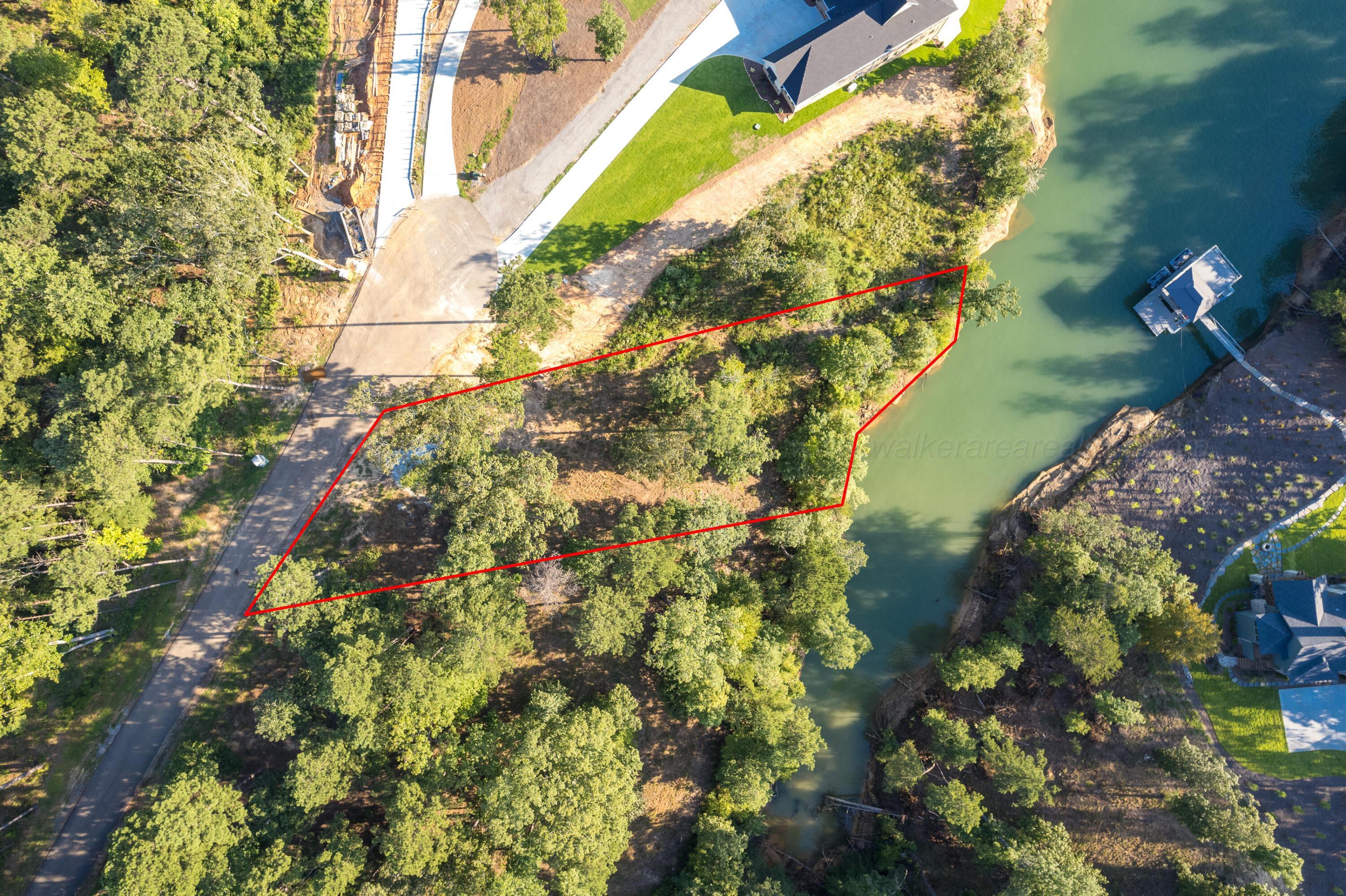 Image 2: Aerial Lot Lines