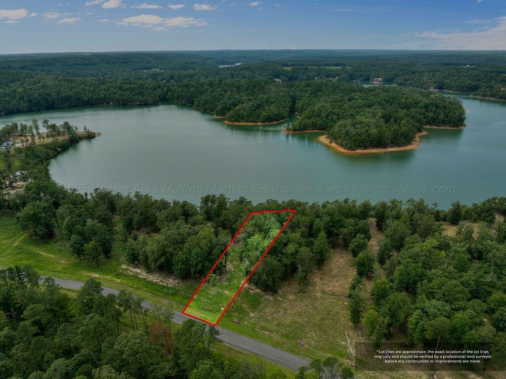 Image 2: DJI_20250826134737_0066_D-4-Edit-Edit-2