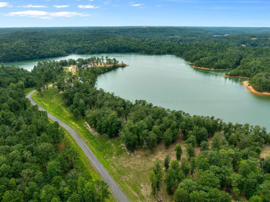 Image 3: DJI_20250826134752_0069_D-7-Edit-4