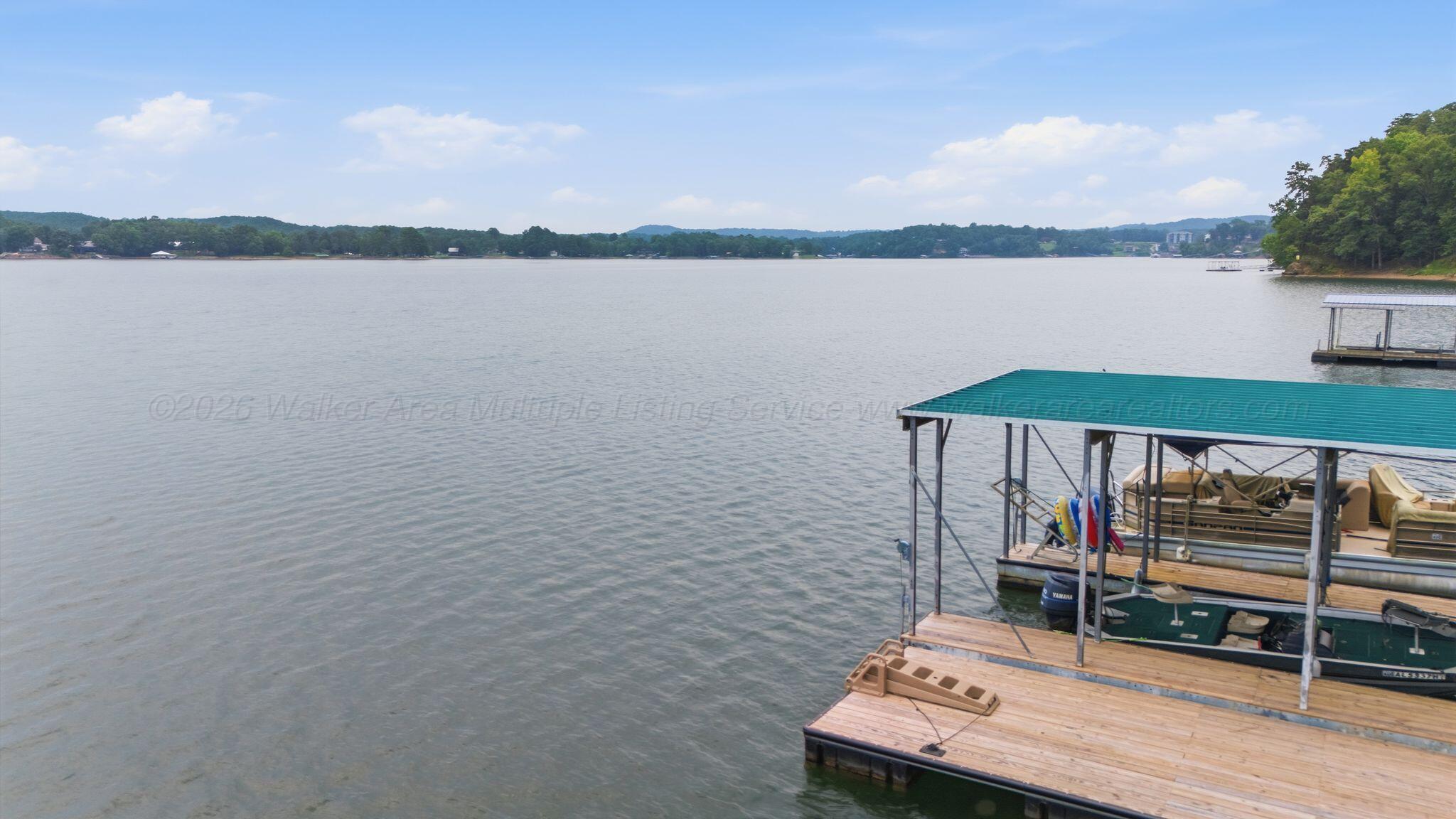 Image 3: Dock