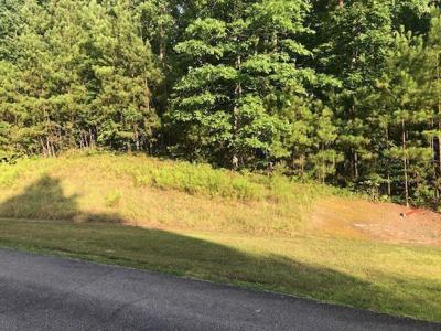 LOT 187 S STONEY POINT Rd