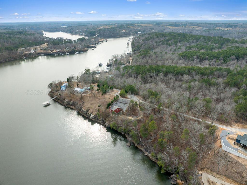 Image 4: DJI_20260208130747_0201_D-Edit-Edit