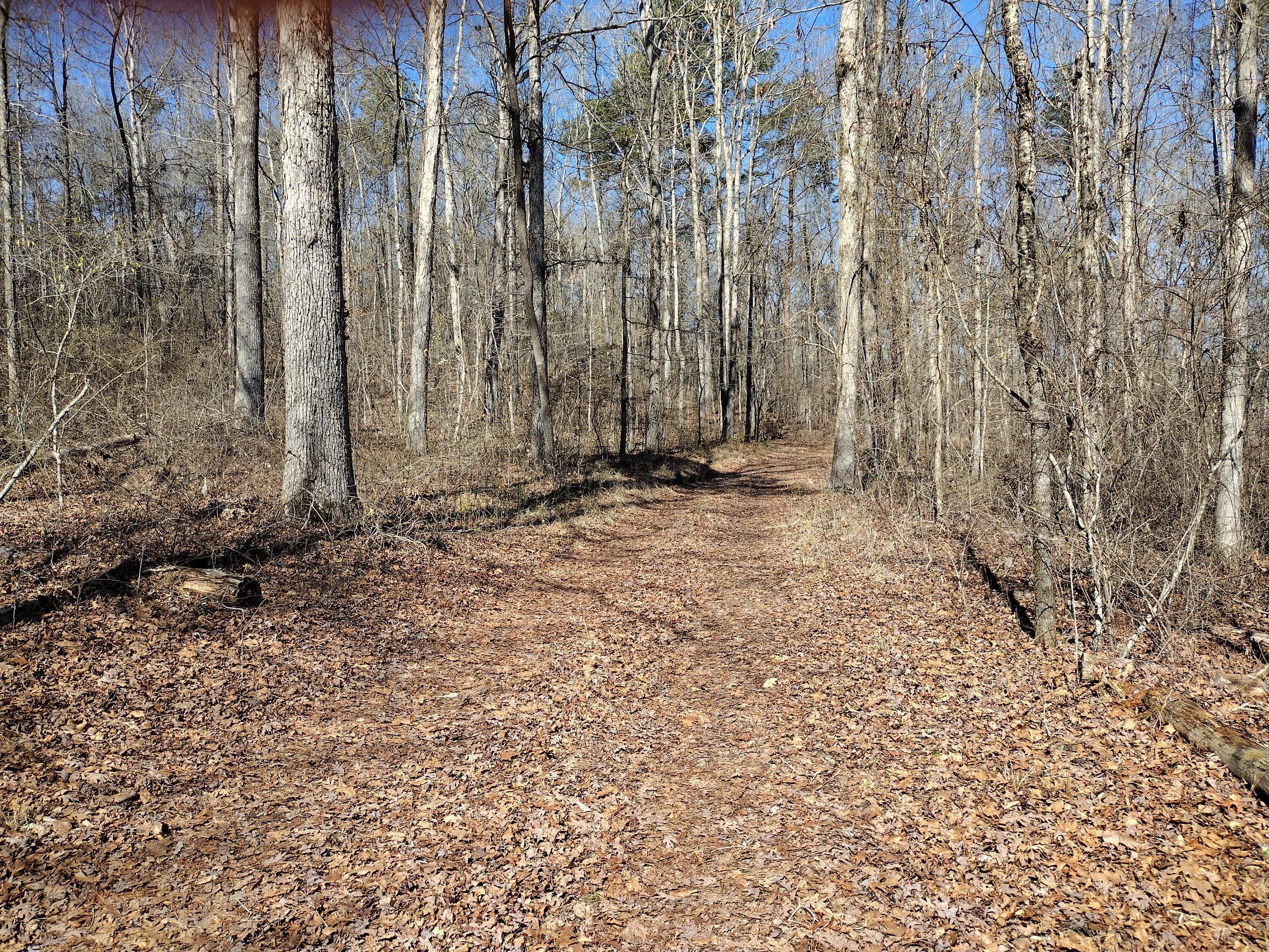 Image 2: Access