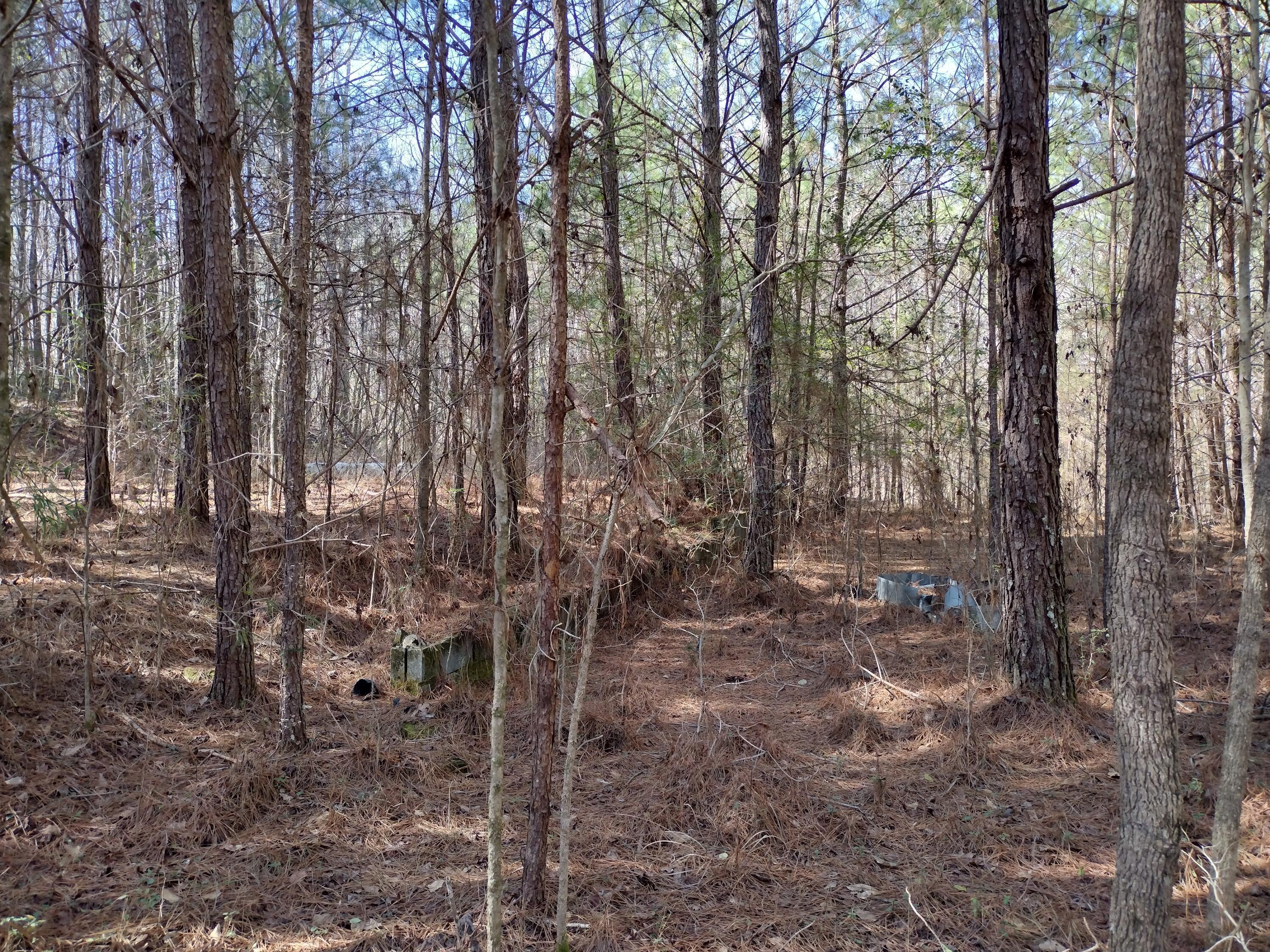Image 3: Land