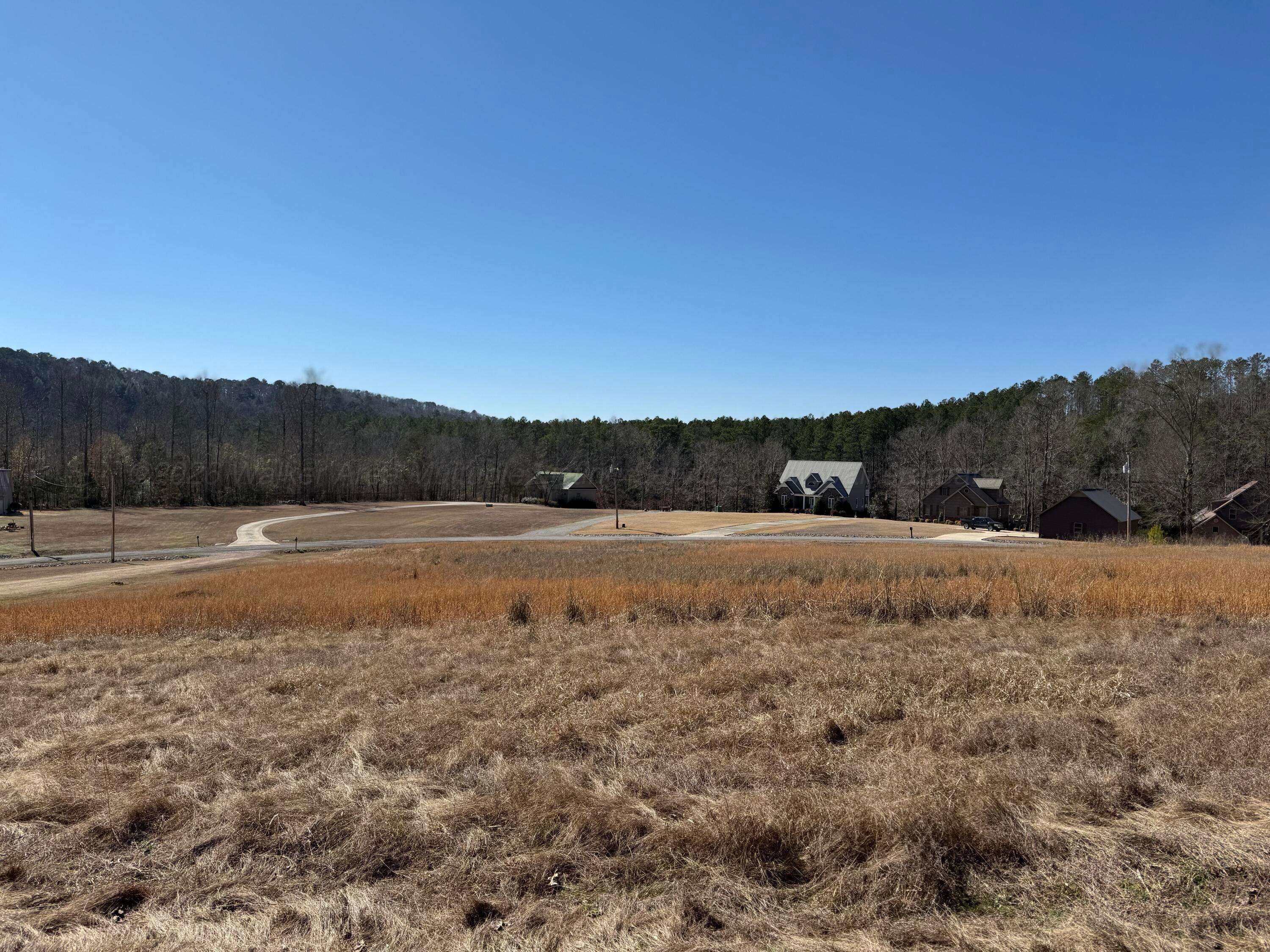 Image 1: Lot 17