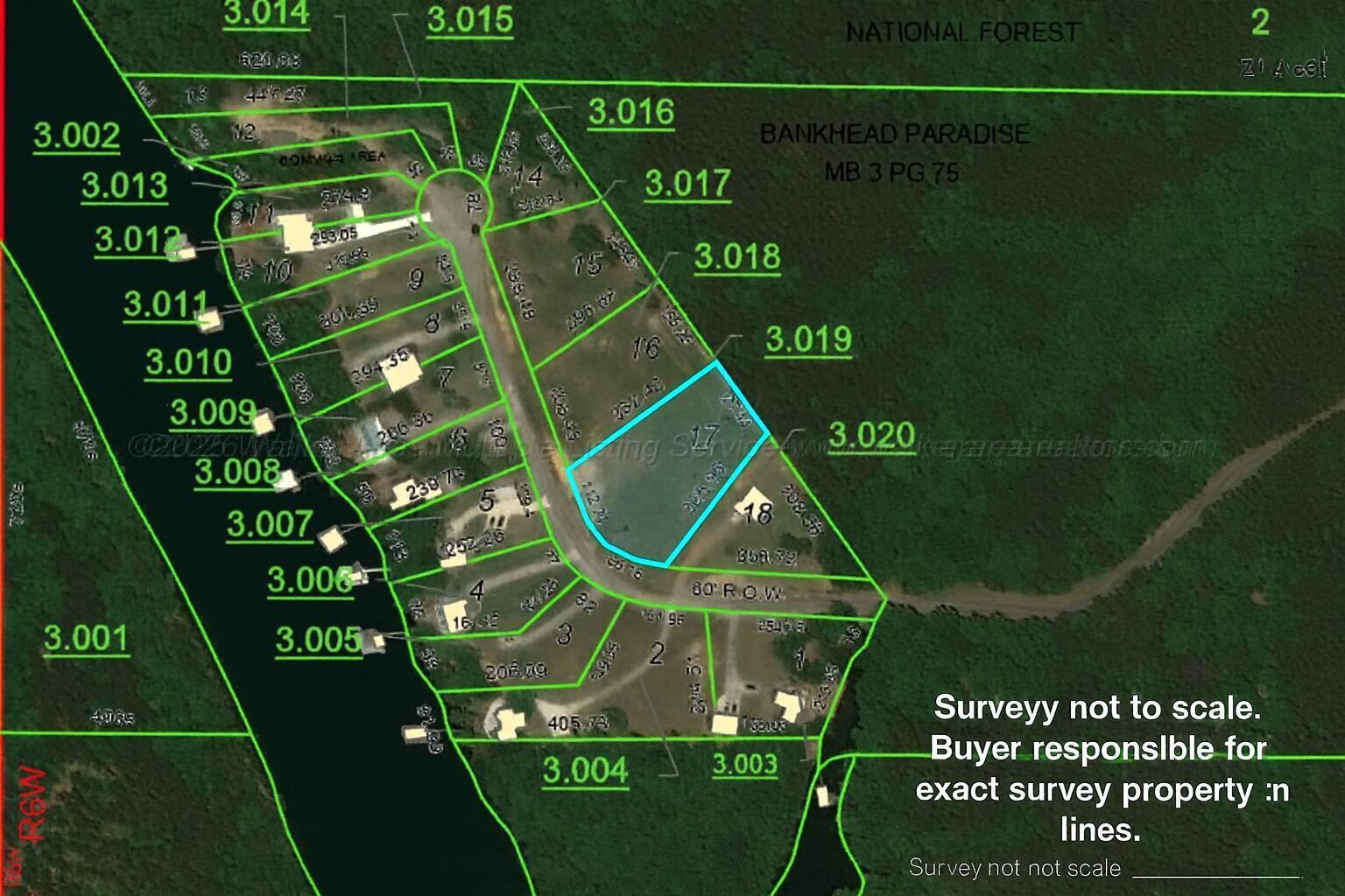 Image 2: Lot 17 Plat Map with Disclaimer