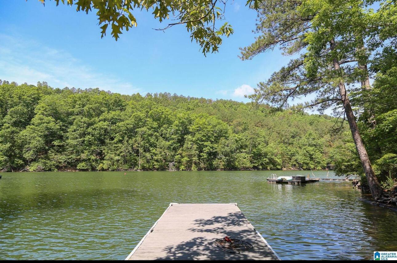 Image 3: Boat Dock Platform