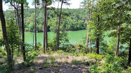 LOT#16 HIDDENFALLS THE RETREAT