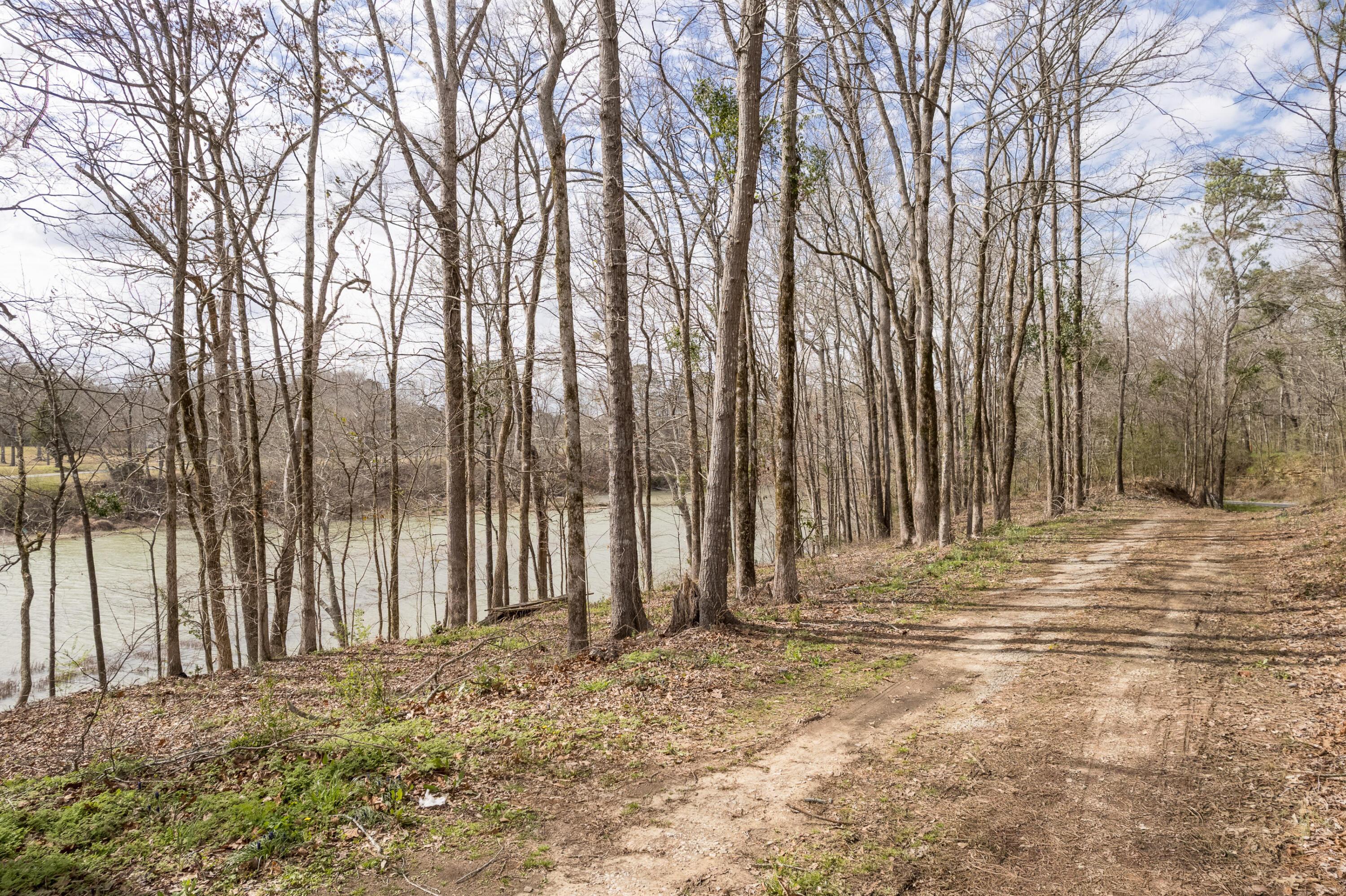 Image 4: Roadside