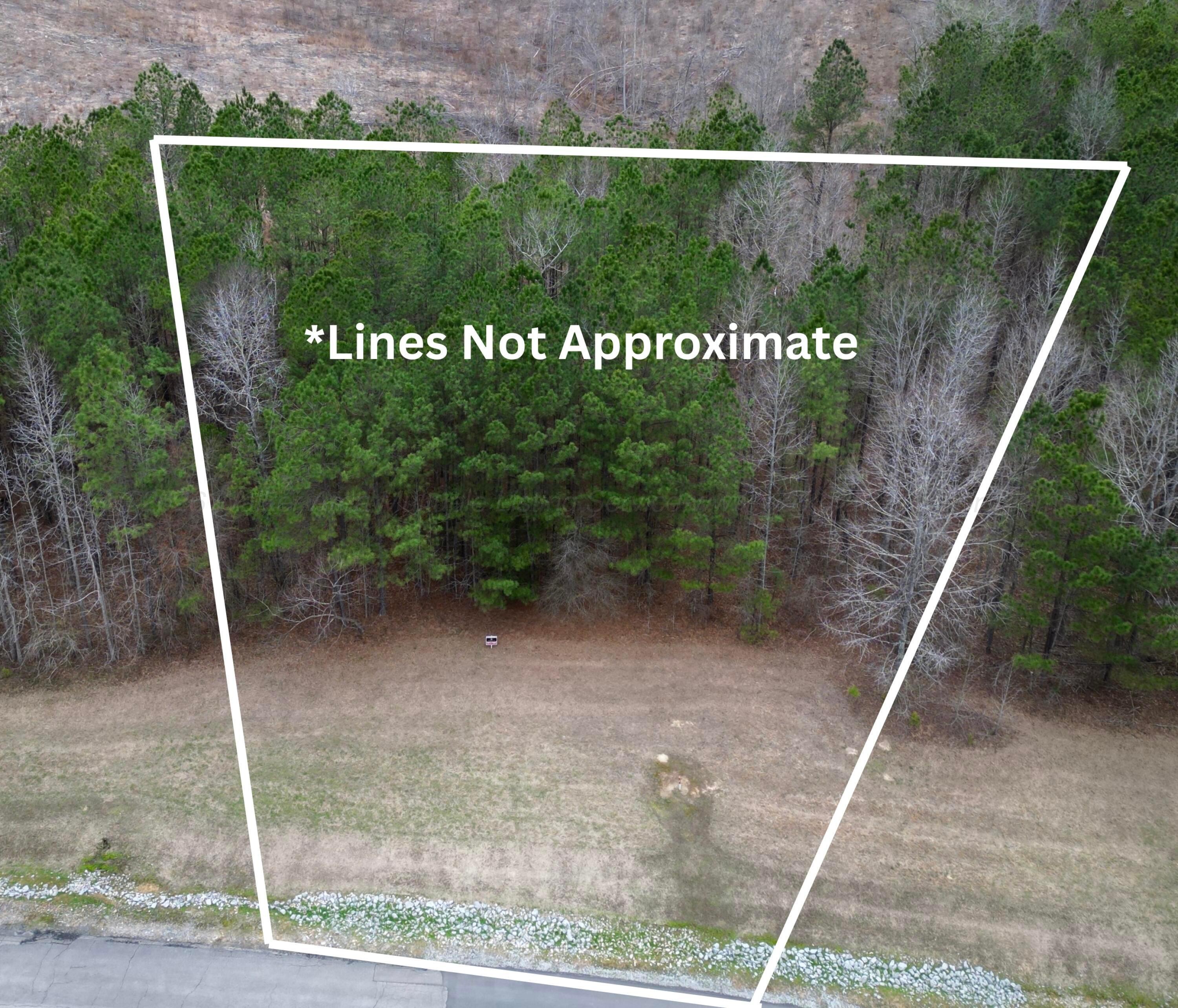 Image 2: Lines Not Approximate