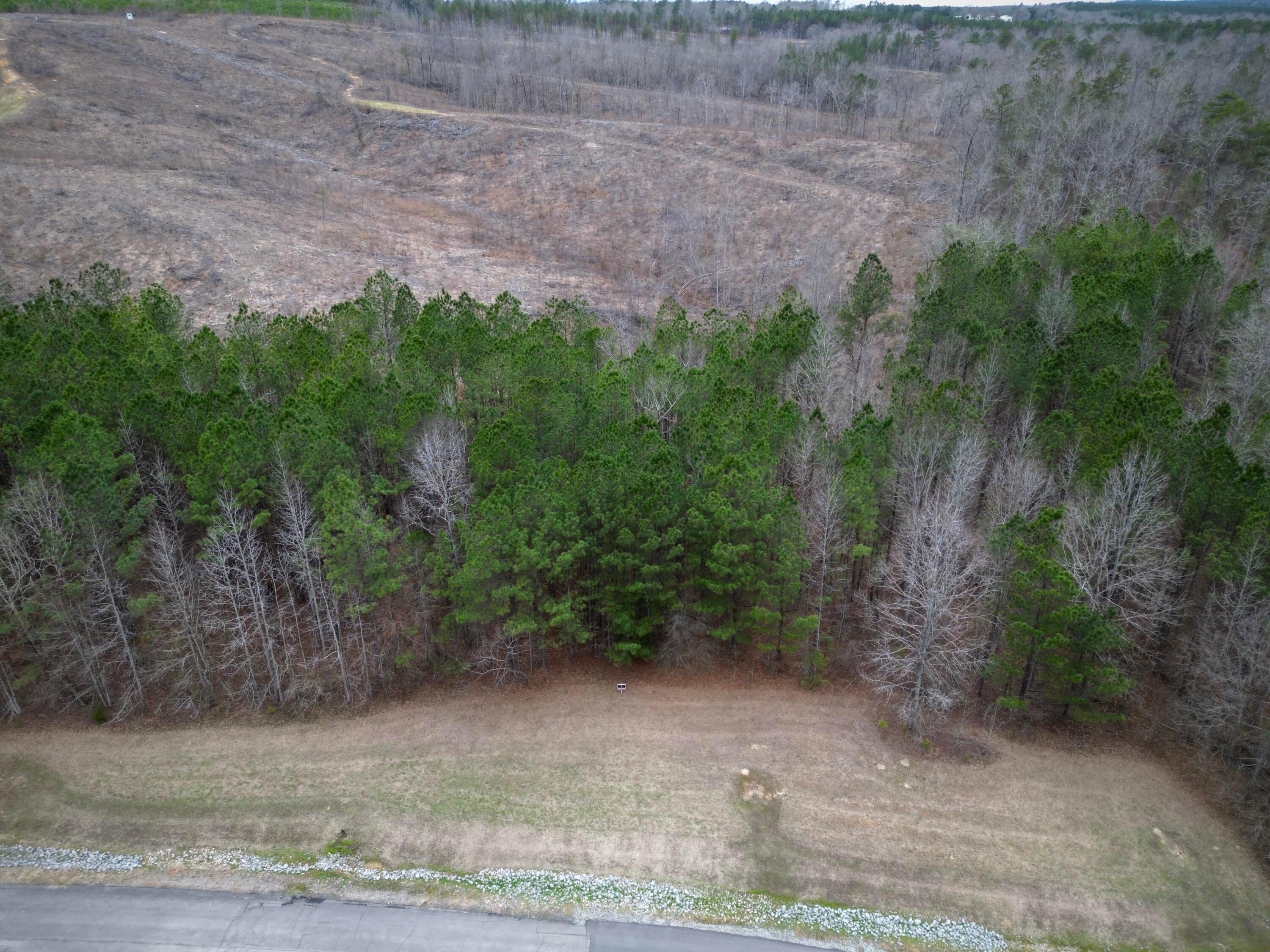 Image 3: dji_fly_20260218_062616_9_1771630698463_