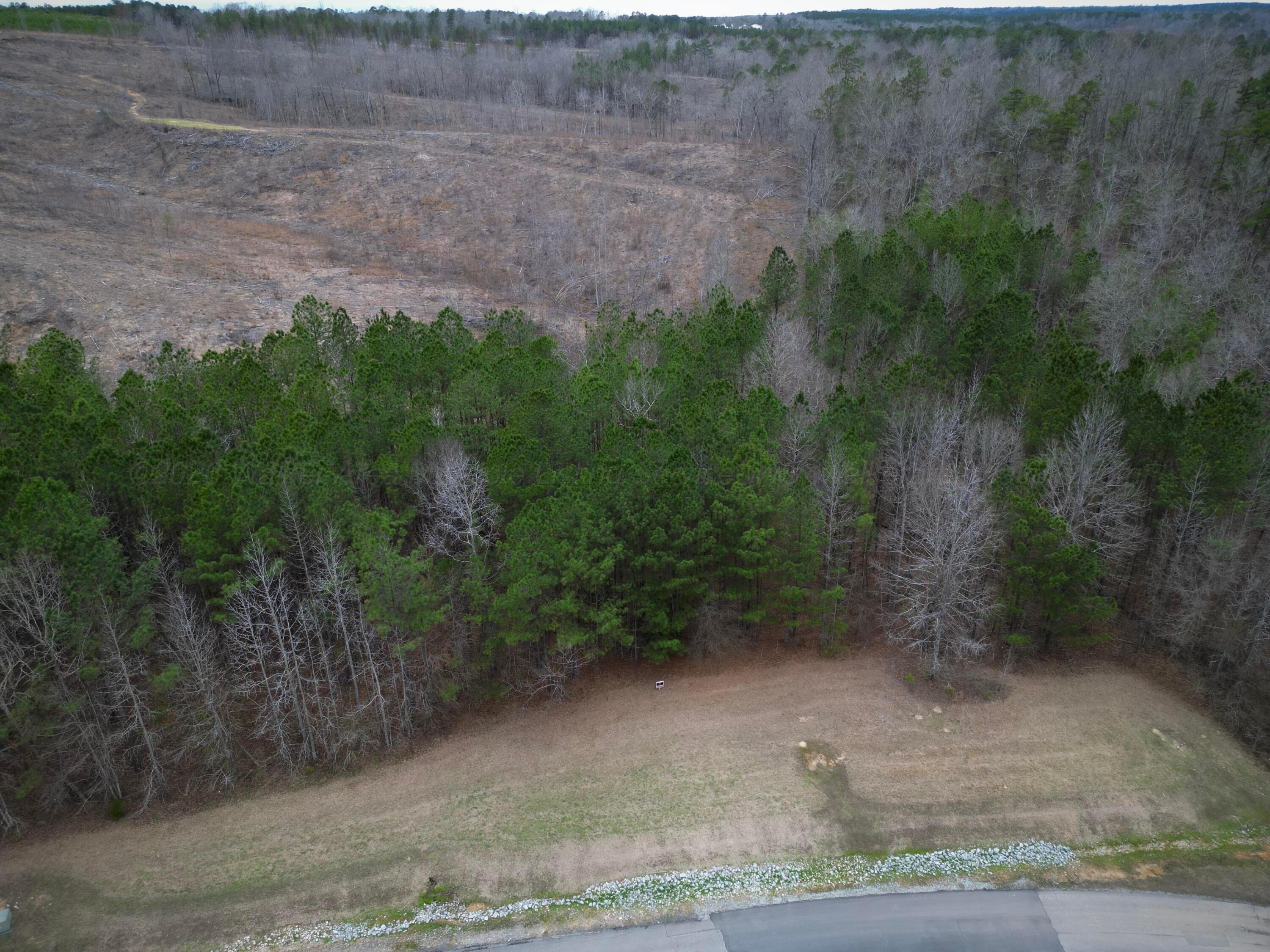 Image 4: dji_fly_20260218_062622_10_1771630698119