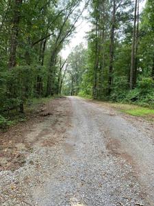321 COUNTY ROAD 108