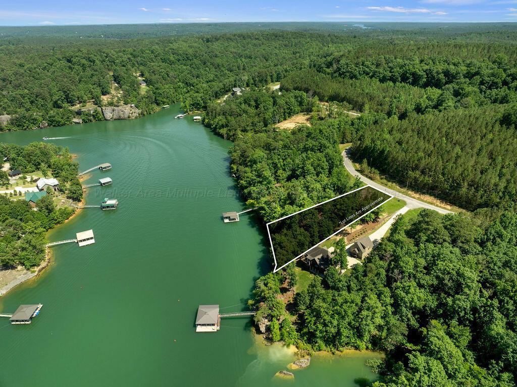Image 1: DJI_20260604150737_0329_D-Edit-Edit