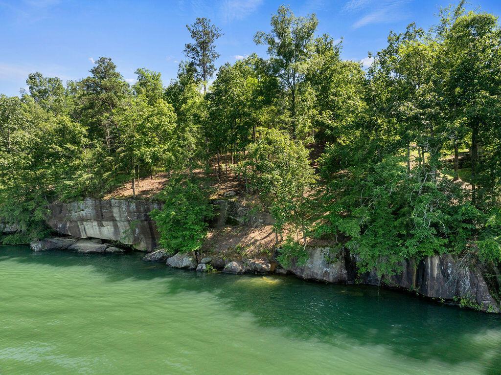 Image 3: DJI_20260604150542_0296_D