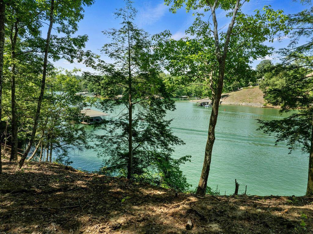 Image 4: DJI_20260604150447_0285_D
