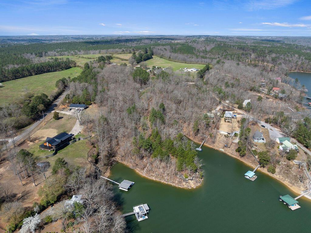 Image 3: DJI_20260305115951_0413_D