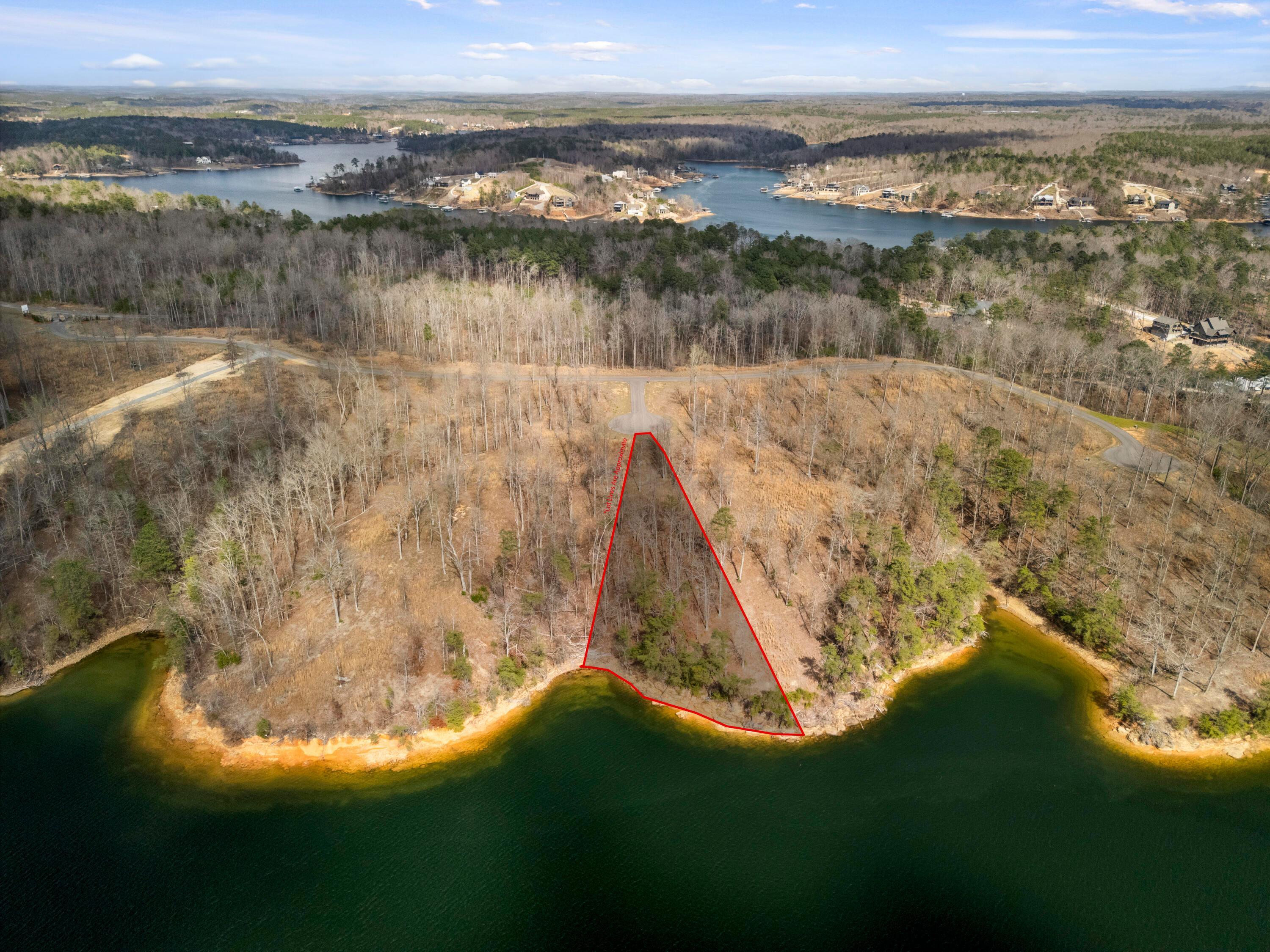 Image 3: Lot 10