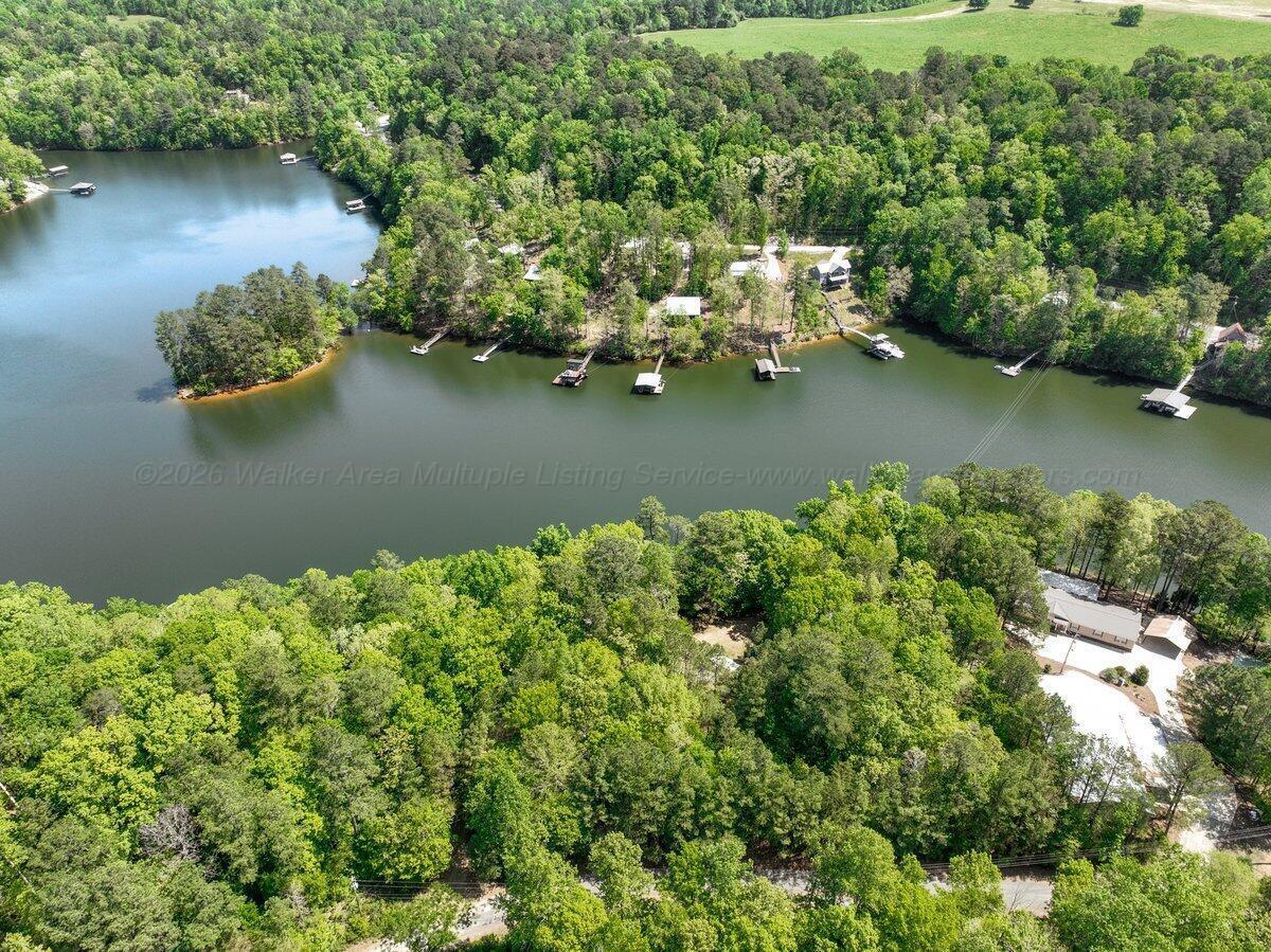 Image 4: DJI_0650