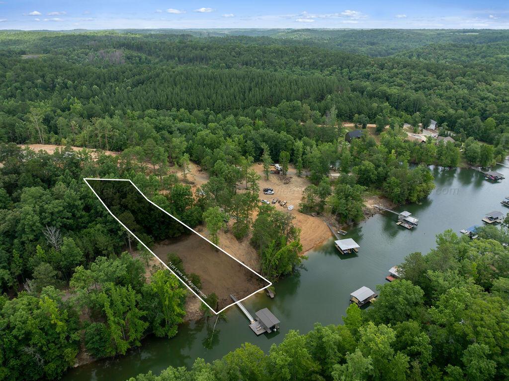Image 3: DJI_20260617141209_0899_D-Edit-Edit