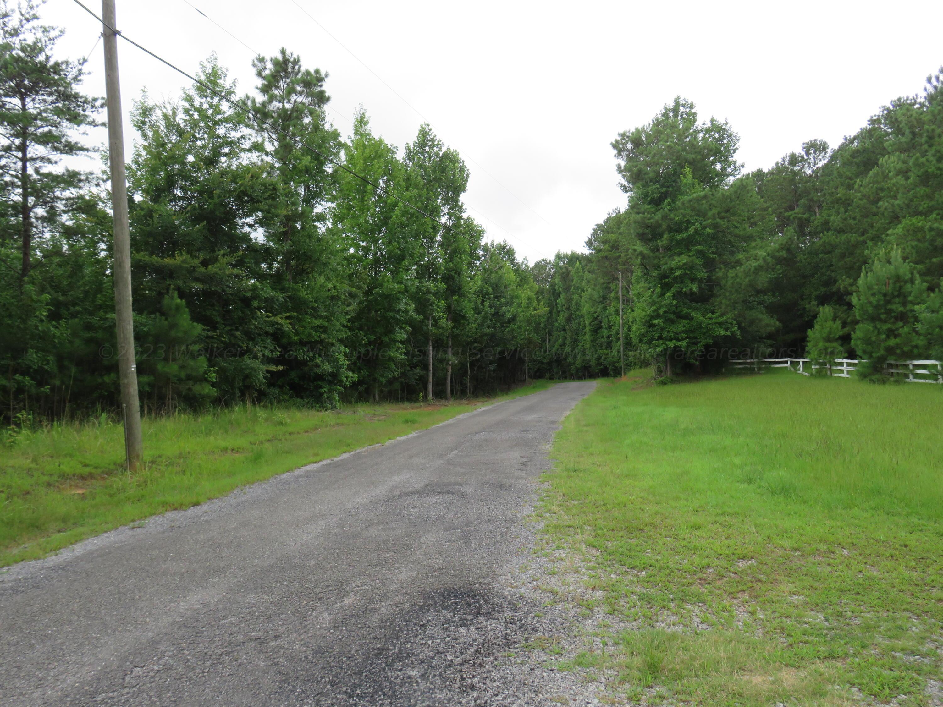 Image 4: IMG_0607