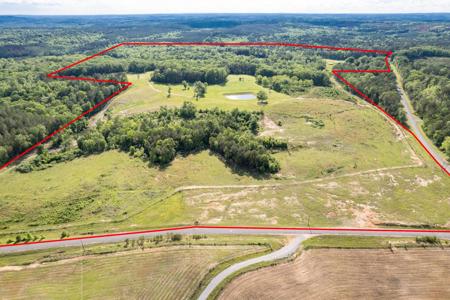 4203 COUNTY ROAD 25