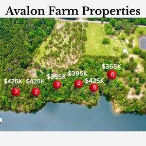 LOT 2 AVALON FARMS
