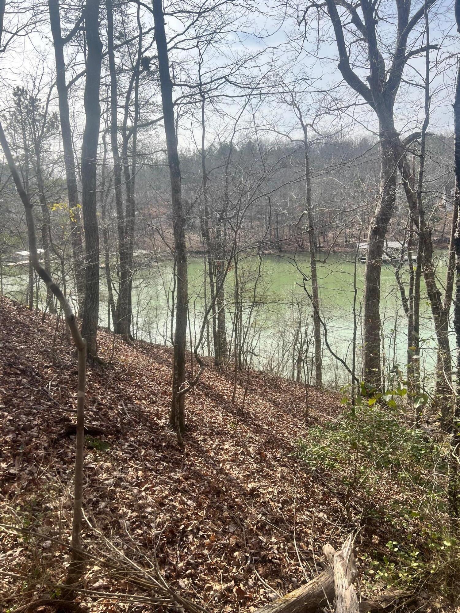 Image 2: Lake side