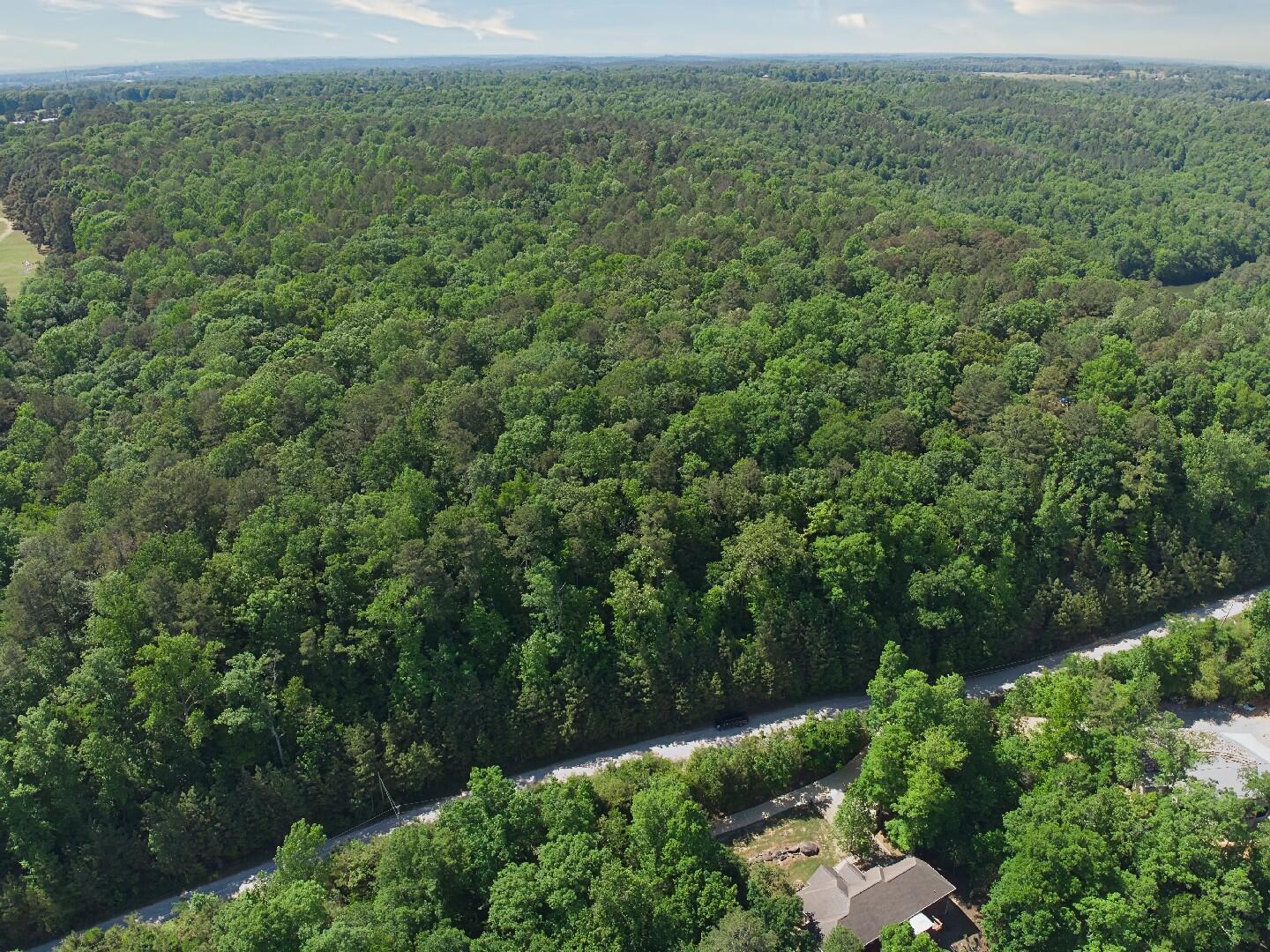 Image 4: White Oak - Acreage_9