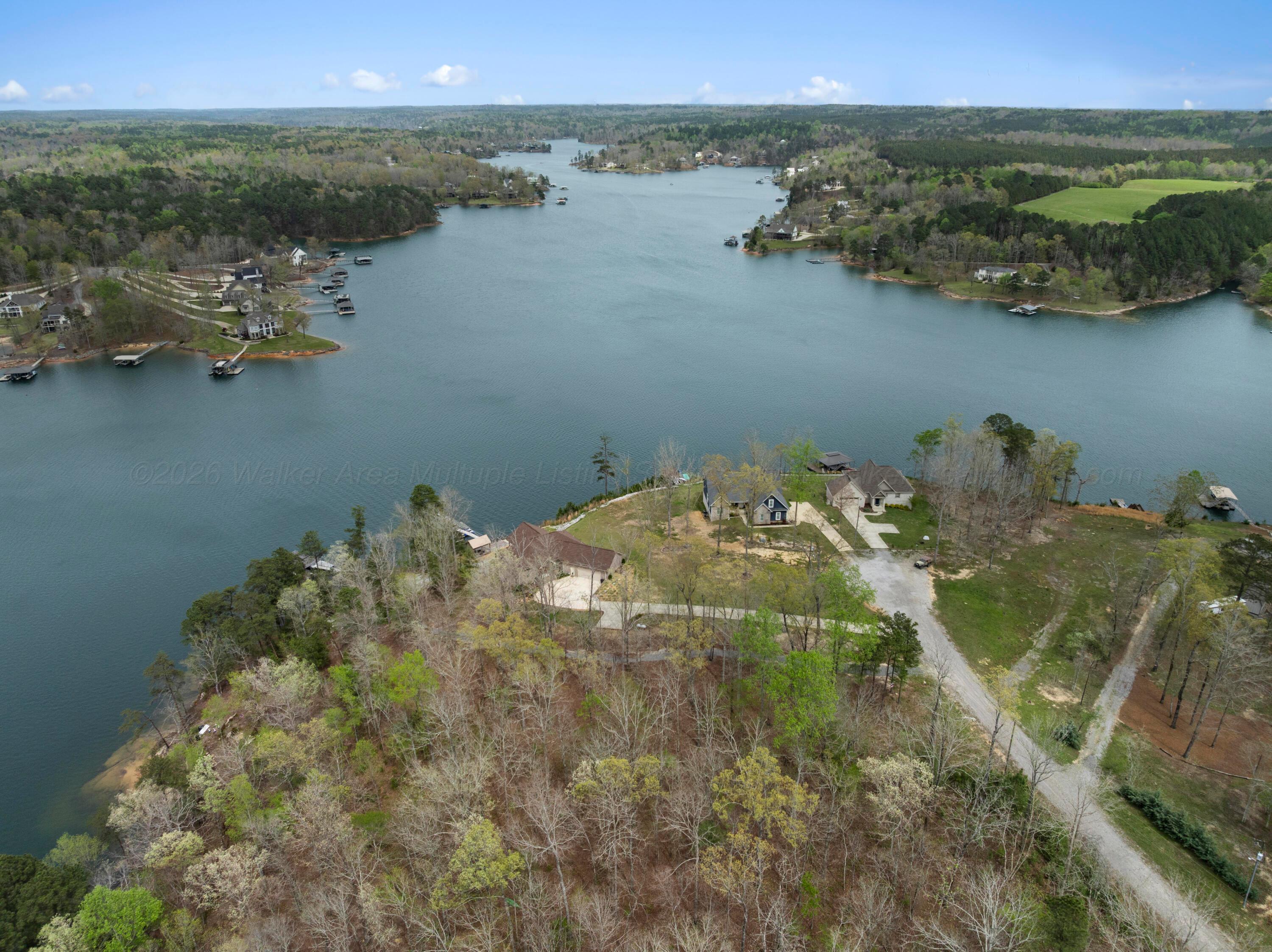 Image 4: DJI_20260402091516_0320_D-Edit