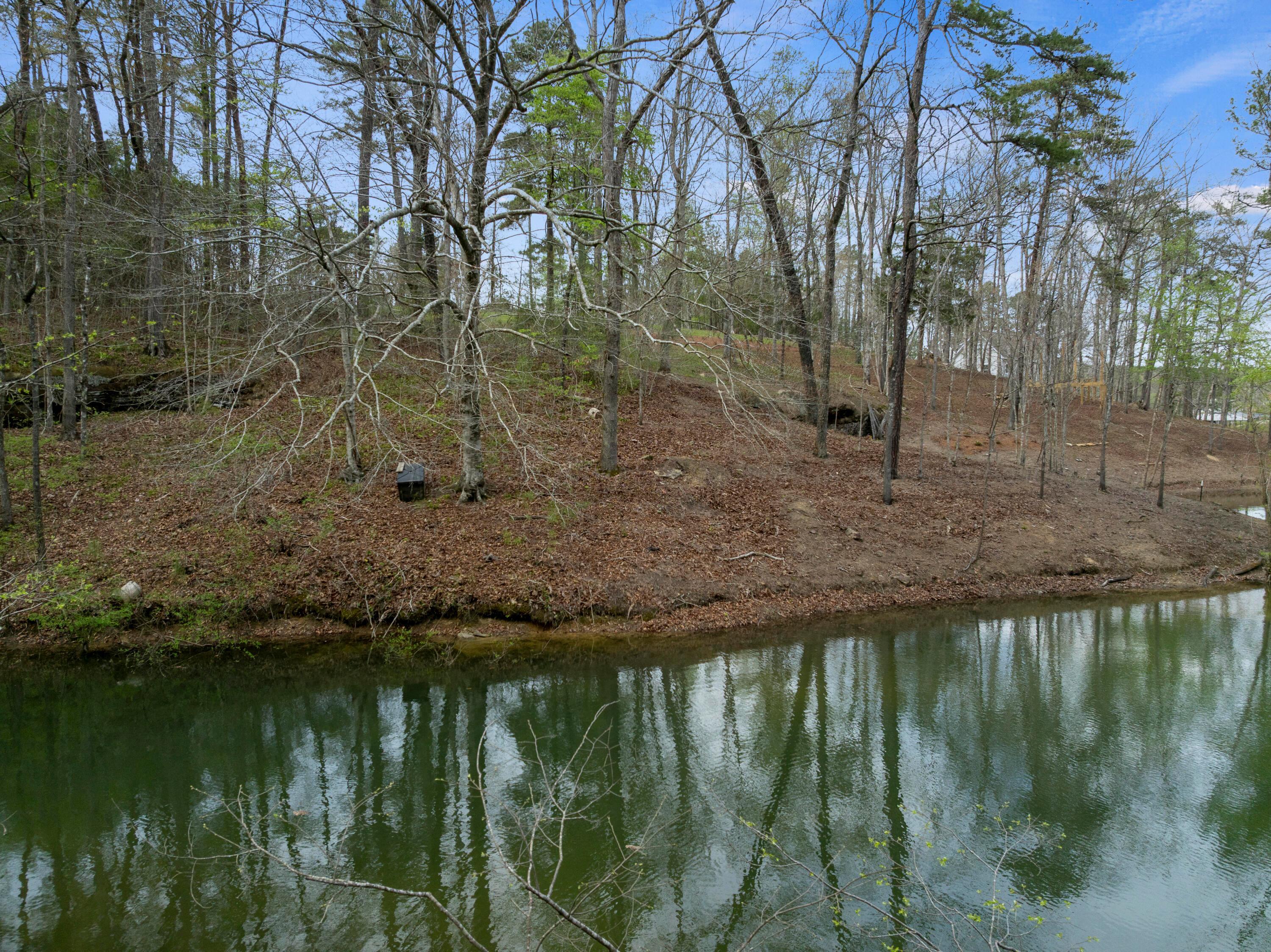 Image 3: DJI_20260402101359_0410_D