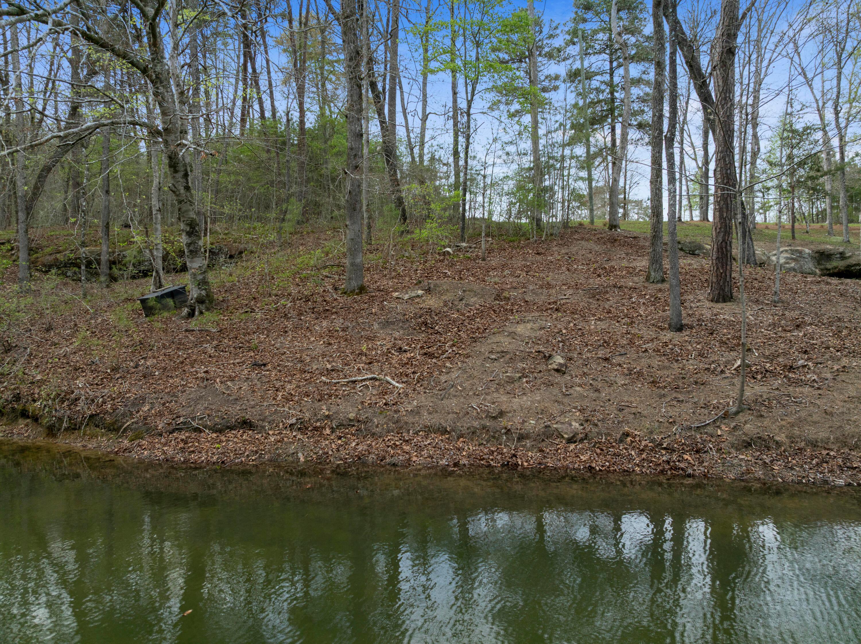 Image 4: DJI_20260402101452_0419_D