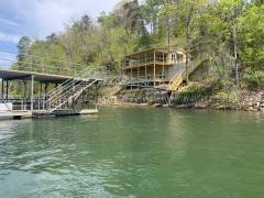 Image 2: brushy lot and house