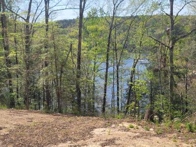 458 CO RD 4036