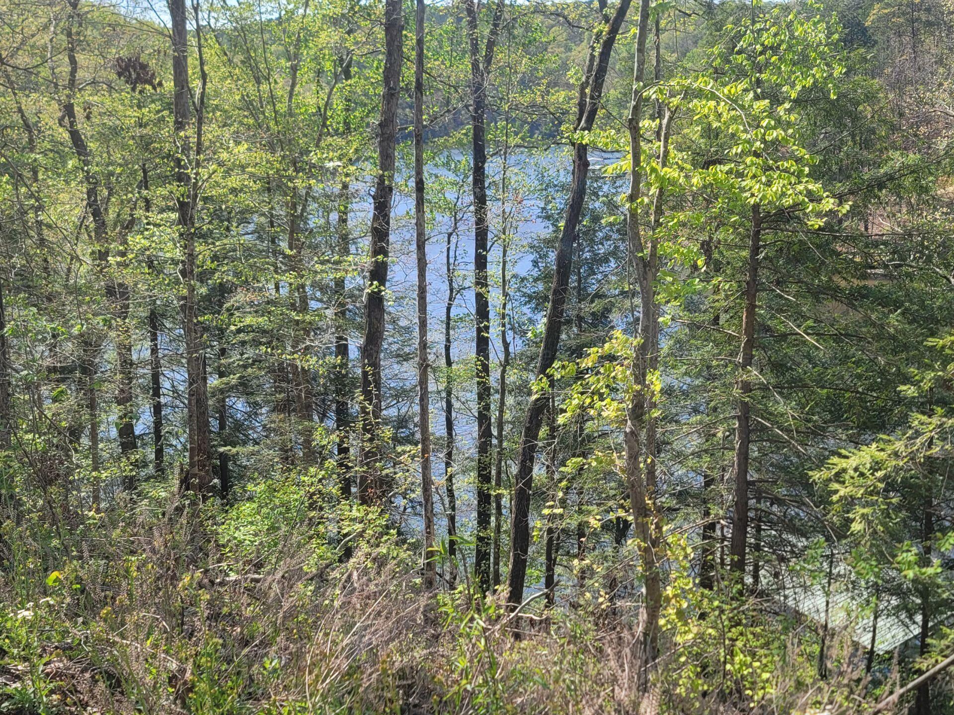 Image 2: View of Lake