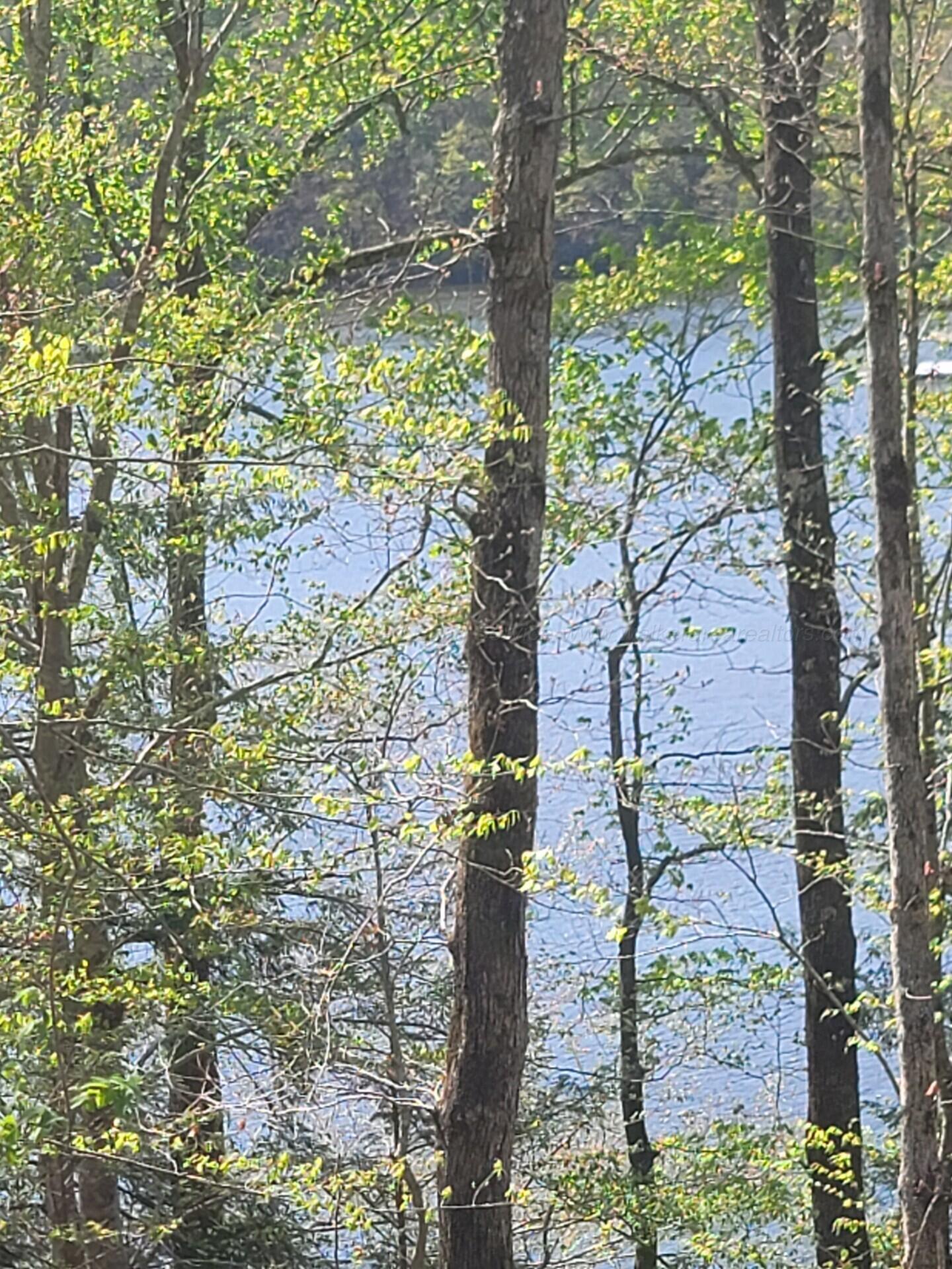 Image 3: View of Lake