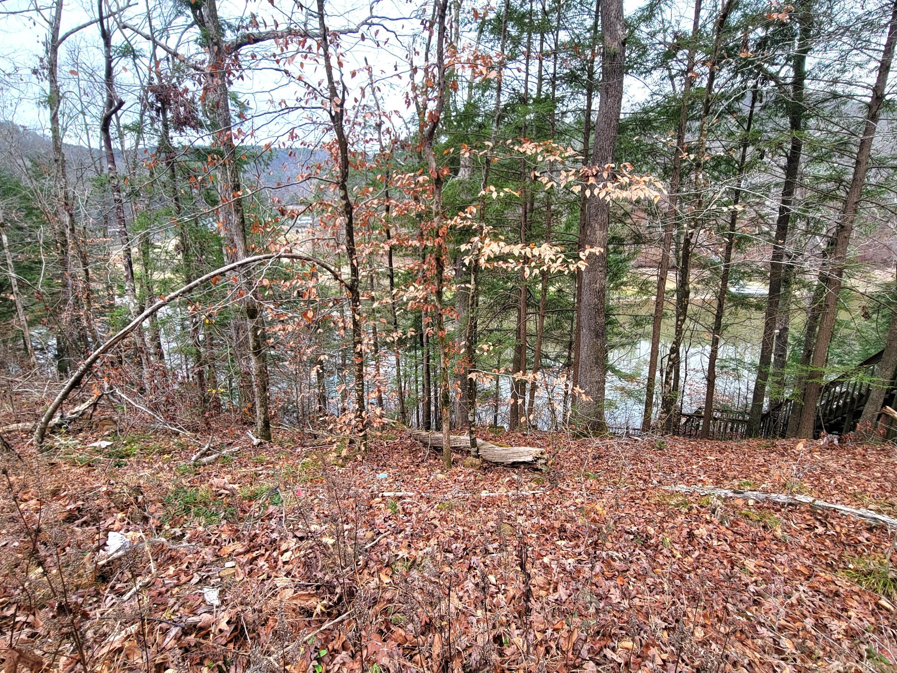 Image 4: View of lake