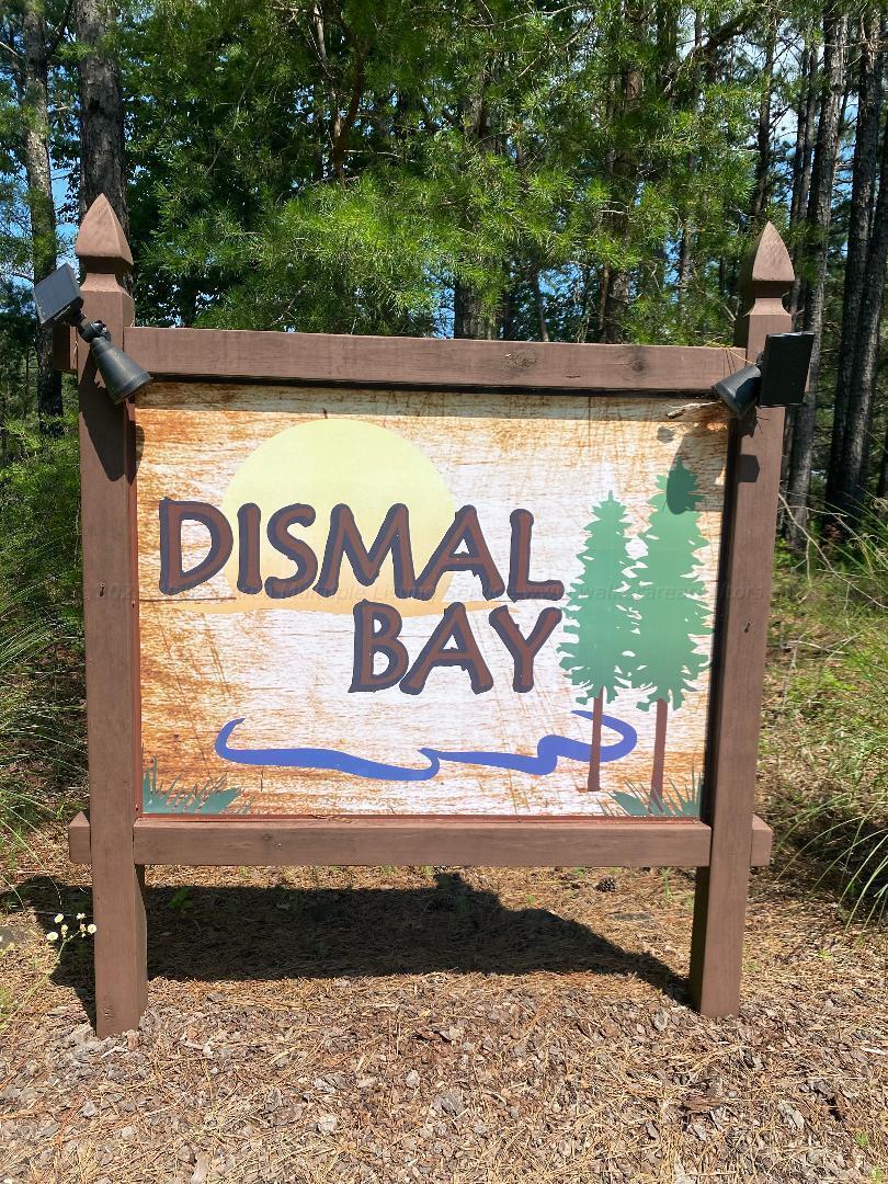 Image 3: Welcome to Dismal Bay
