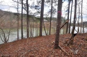 LOT #36 EMERALD VALLEY ESTATES