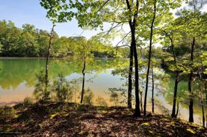 SMITH LAKE DAM ROAD