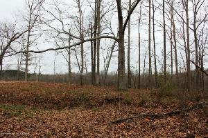 445 COUNTY ROAD 954