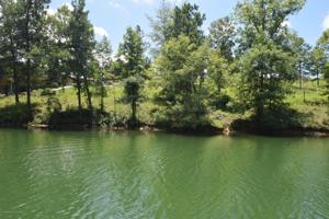 LOT 13 BEAR PEN COVE
