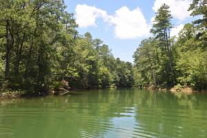 LOT 16 BEAR PEN COVE