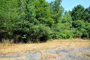 LOT 1 COUNTY ROAD 204