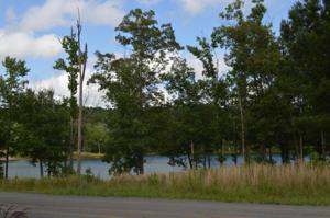 LOT 99 COUNTY ROAD 2020