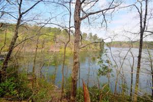 LOT 7 ROCK CREEK INLET